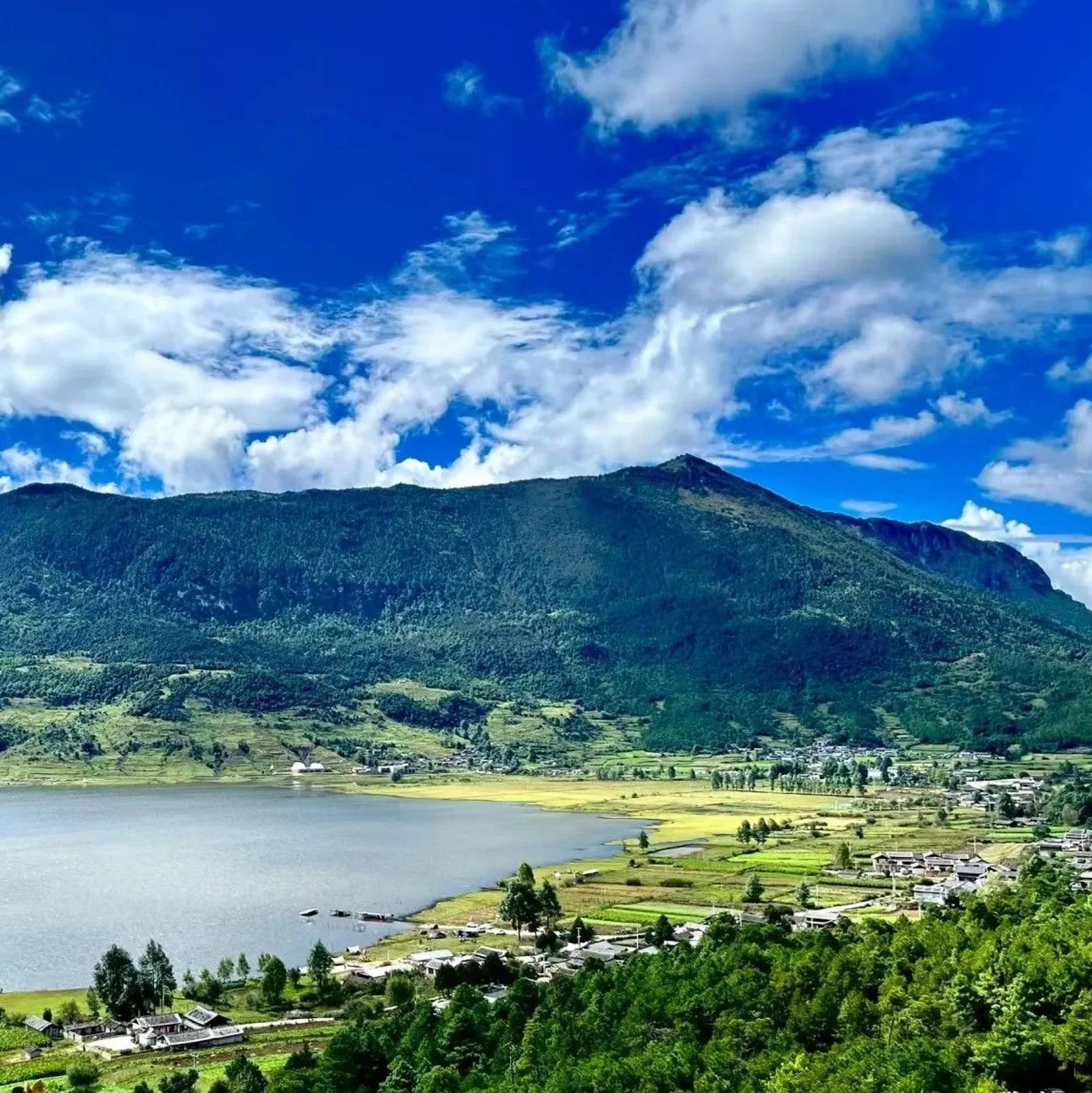 High-resolution venue image for Wenhai Natural Scenic Area「文海自然风景区」, sourced from the venue's Dianping merchant cover