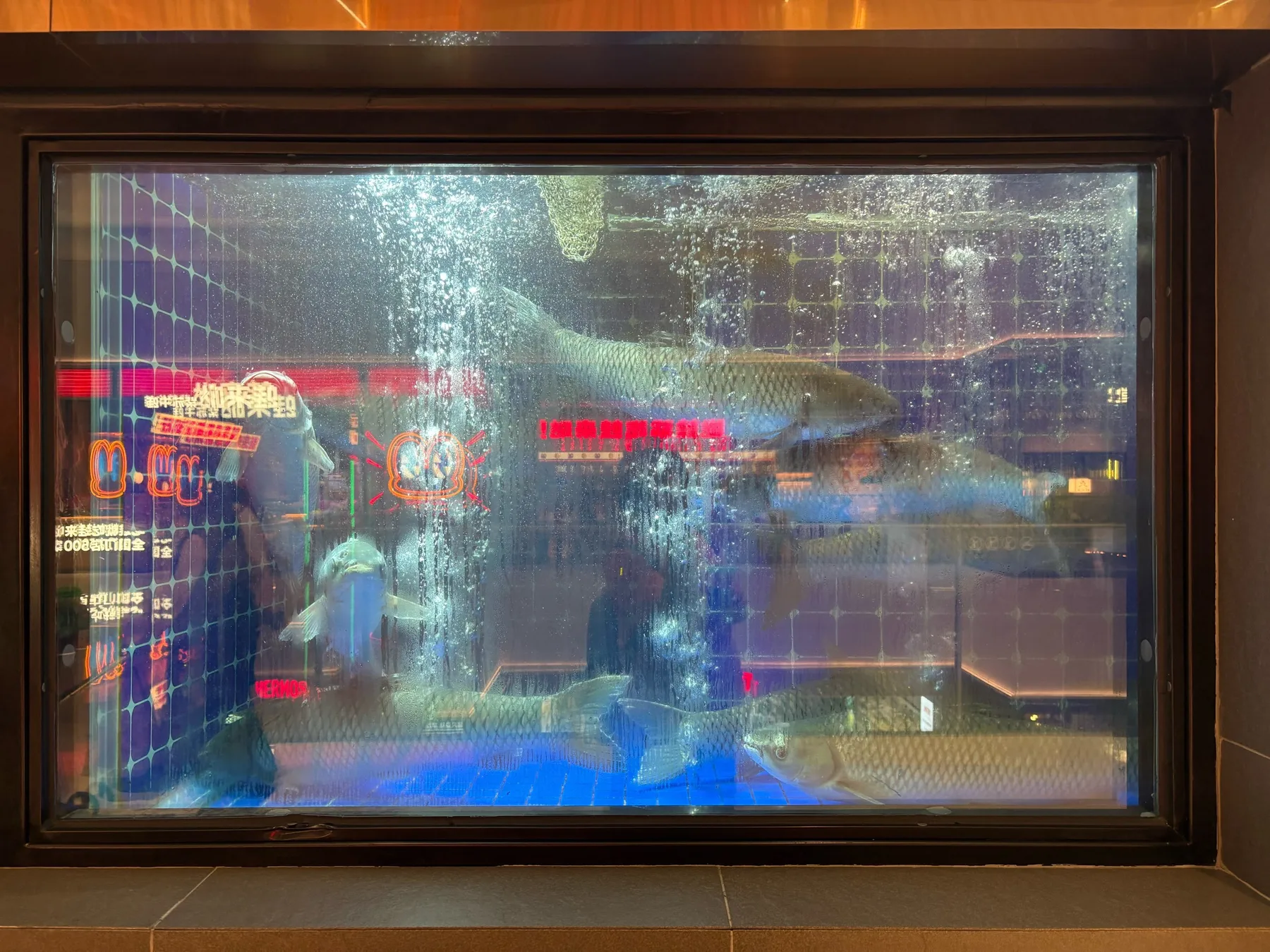 A photograph from the visit to Foshan Shunde Mixc One