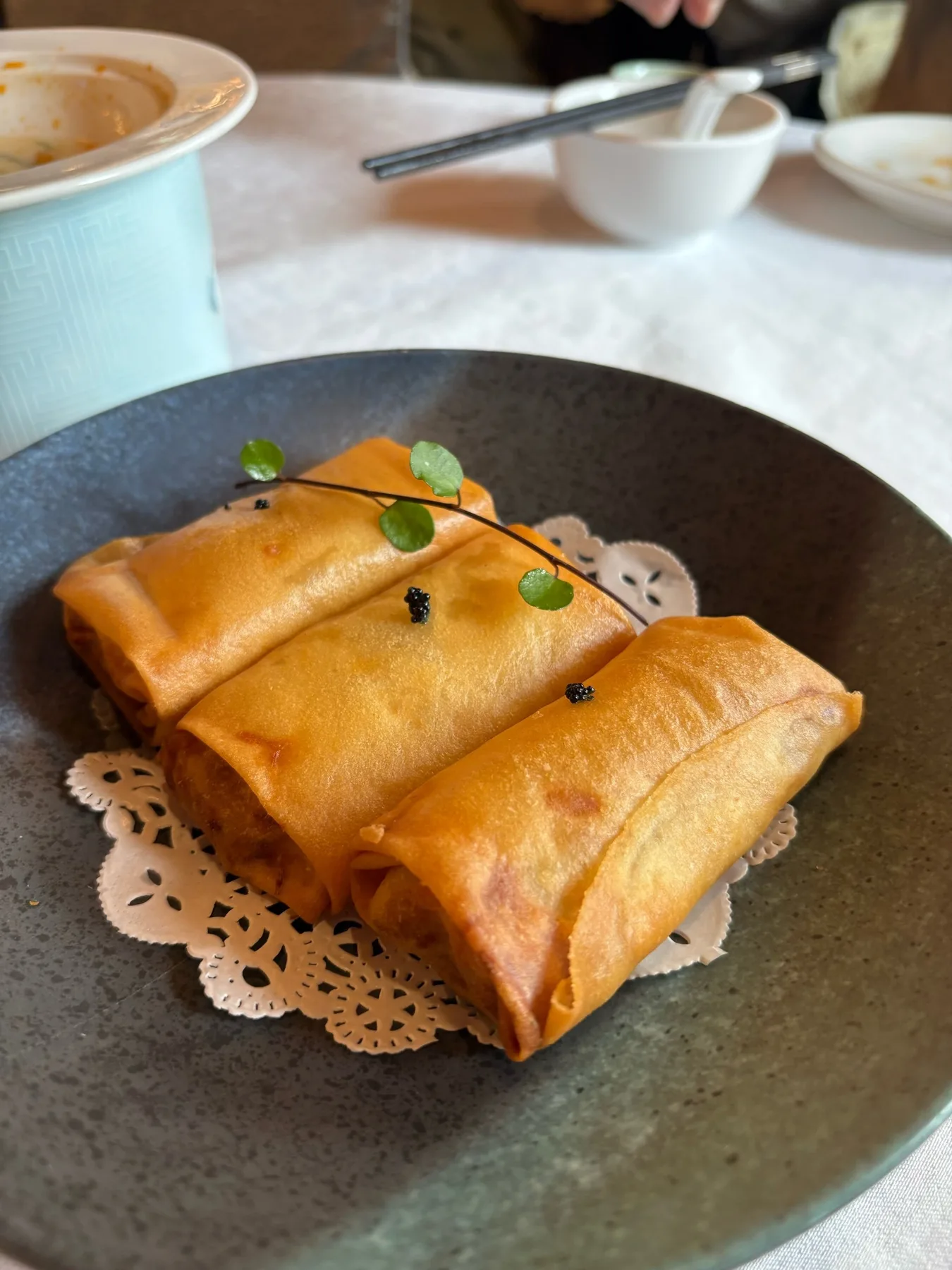 A photograph from the visit to Hanjing · Cantonese Cuisine & Dim Sum · 18-Year-Old Garden Restaurant (Chimelong Branch)