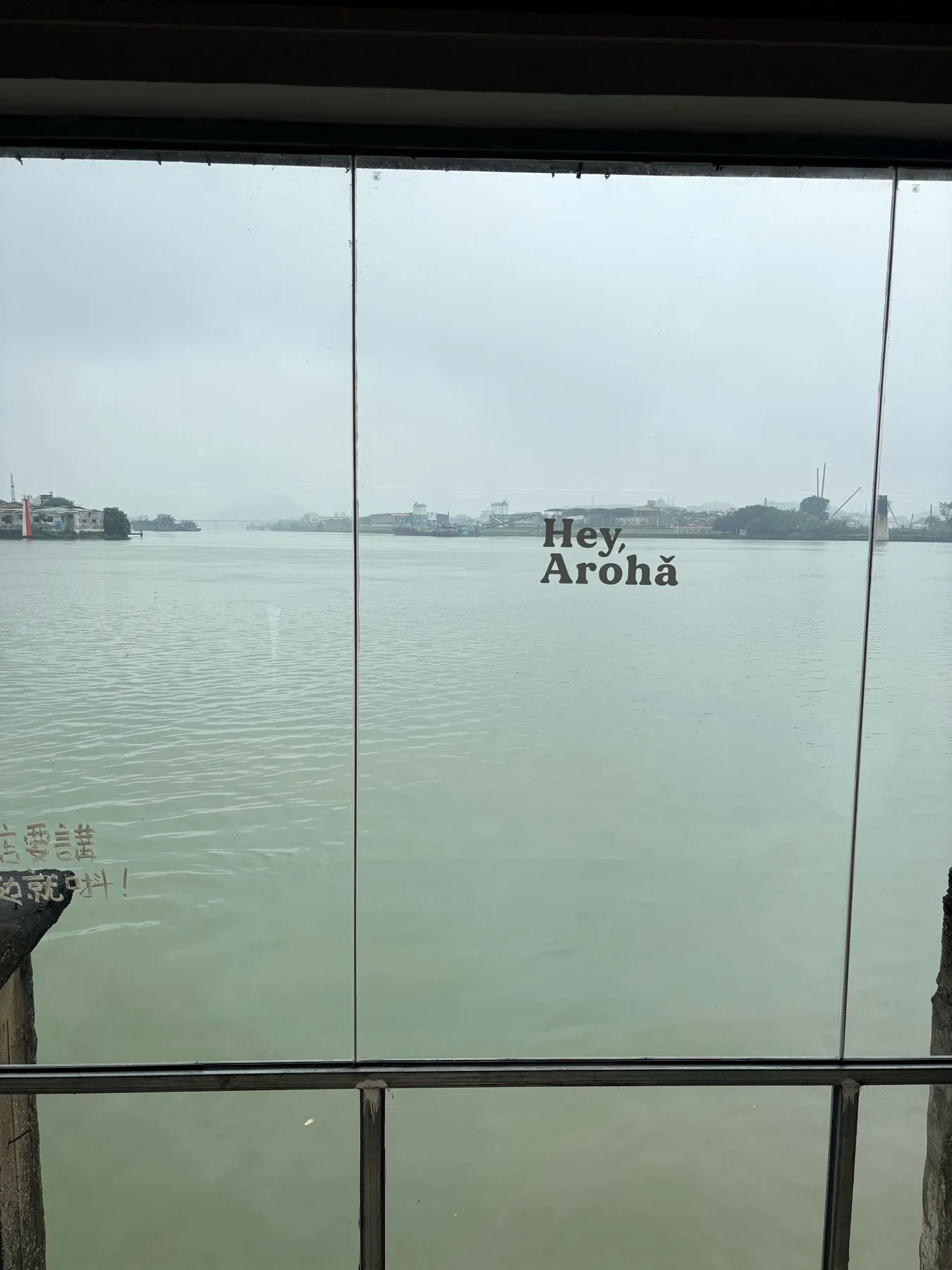 A photograph from the visit to Arohǎ (Passenger Terminal)