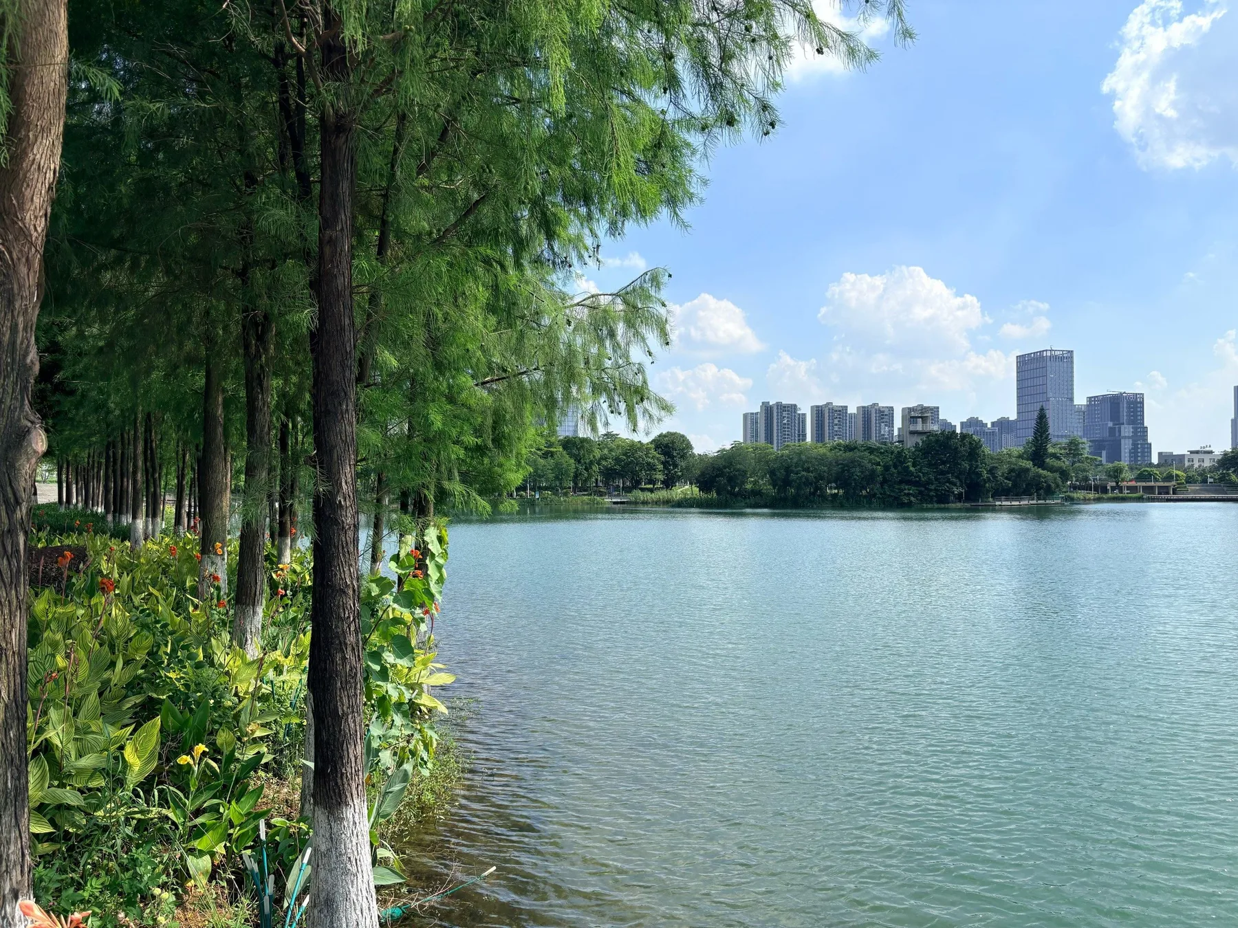 A photograph from the visit to Wenhan Lake Park - Phase II
