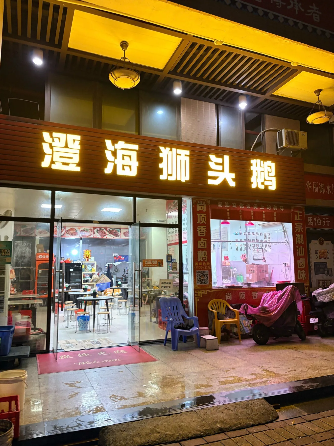 A photograph from the visit to Chenghai Lion Head Goose (Yushui'an Branch)