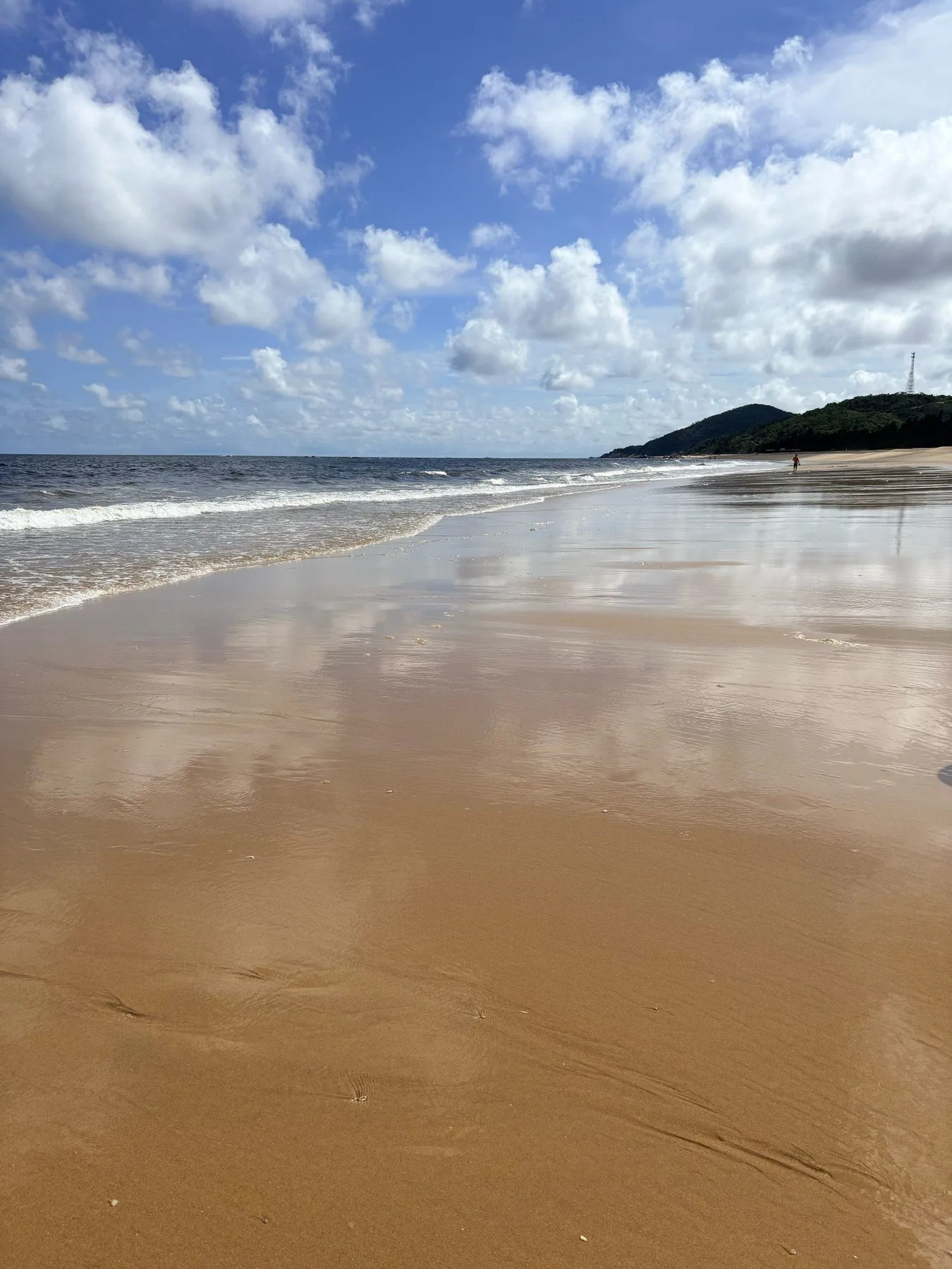 A photograph from the visit to Dina Sea