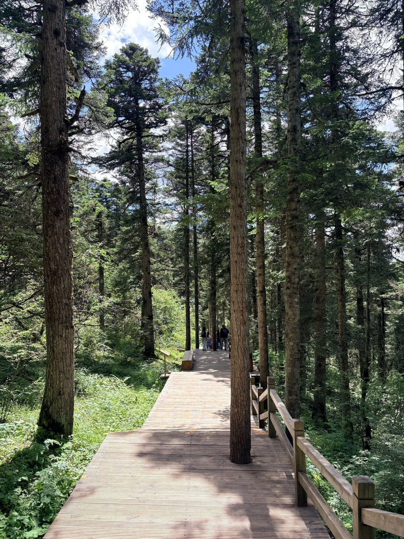 A photograph from the visit to Huanglong Scenic Area