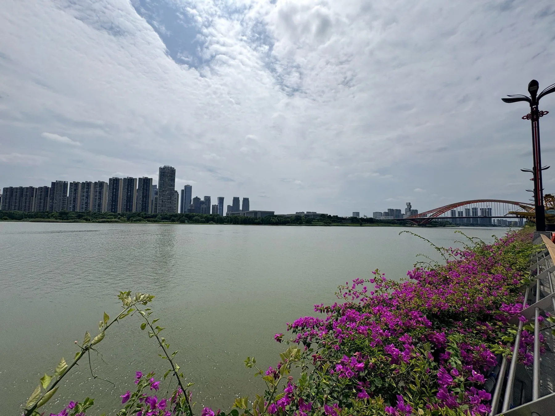 A photograph from the visit to Dongping River Shiwan Wetland Park