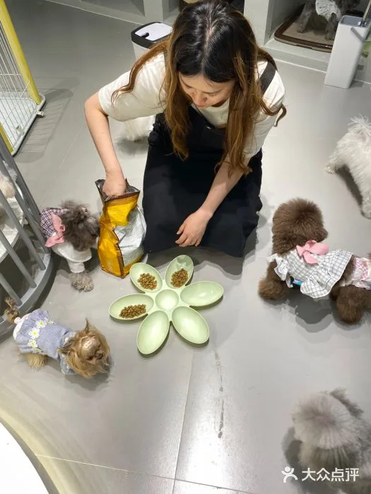A photograph from the visit to PET WISH (BFC Bund Finance Center Store)